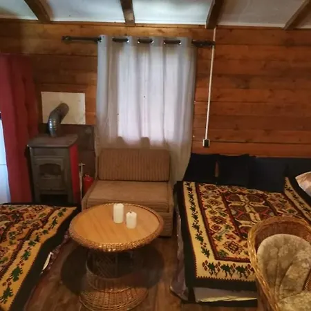 Exit Camping With Bungalow, Mobile Home, Tents, And Empty Spots With Private Acces To The Beach Campsite Novi Sad